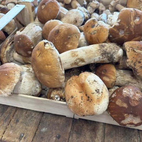 Fruits et légumes de saison à Pézenas