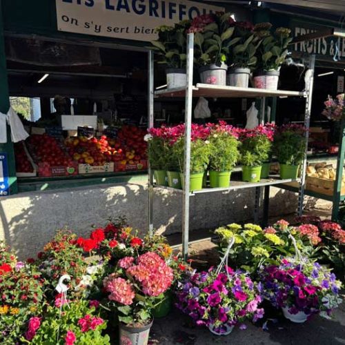 Vente-fruits-legumes-bois-chauffage-agricoles-fleurs-circuit-court-local-pezenas-photo-028