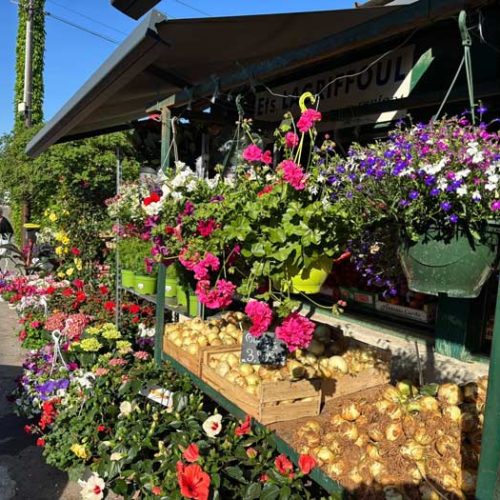 Fleurs et plants maraîchers à Pézenas :
